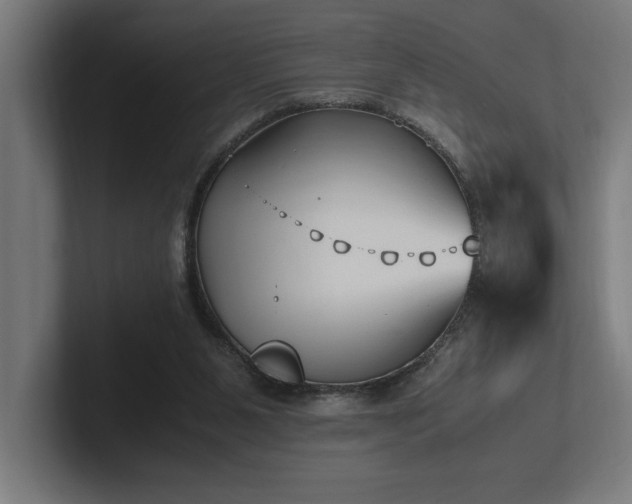 X0000102370111200808011521