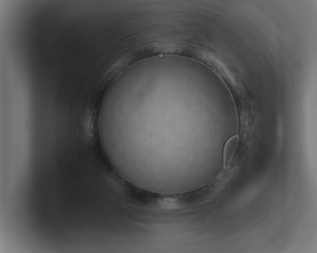 X0000102370114200808011521