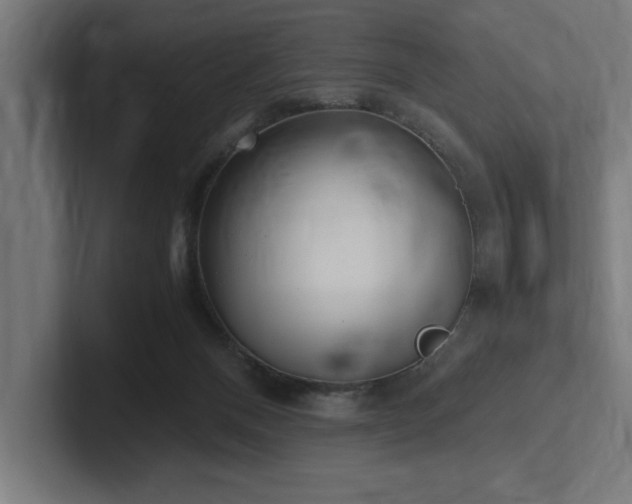 X0000102370120200808011521