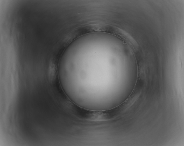 X0000102370121200808011521