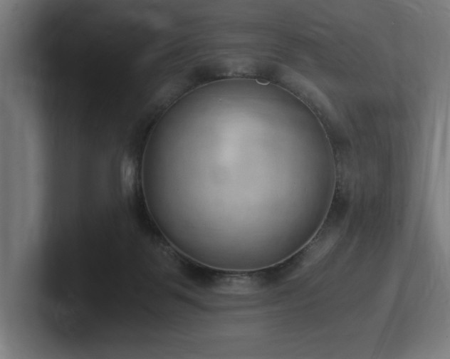 X0000102370123200808011521
