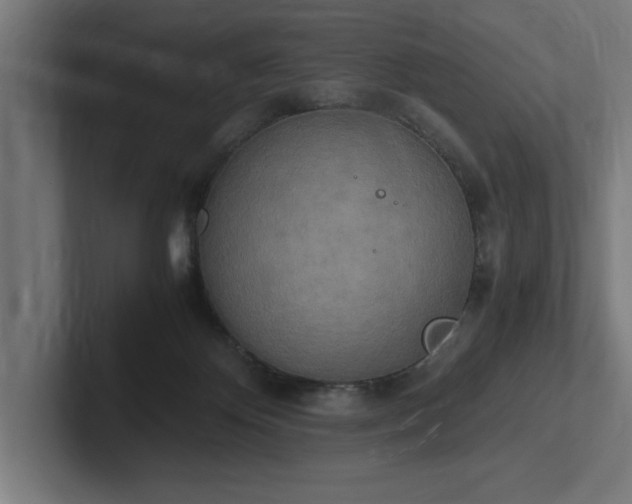 X0000102370124200808011521