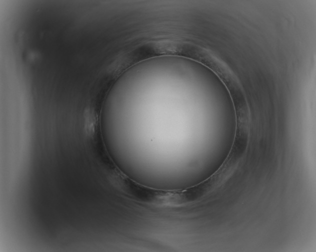X0000102370125200808011521
