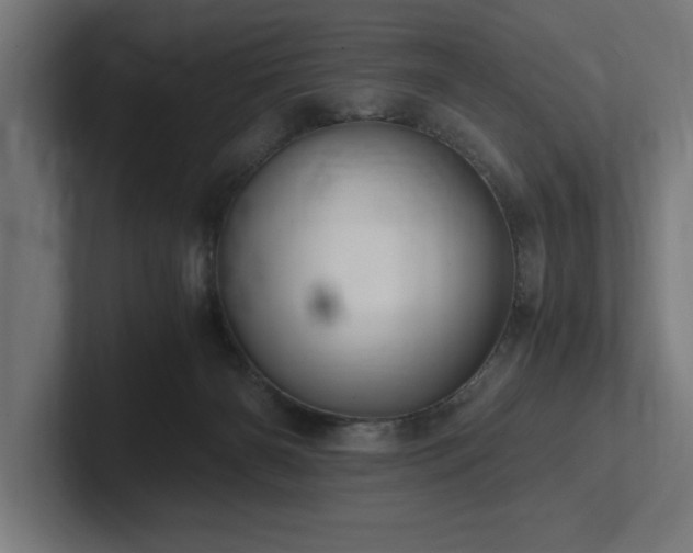 X0000102370126200808011521