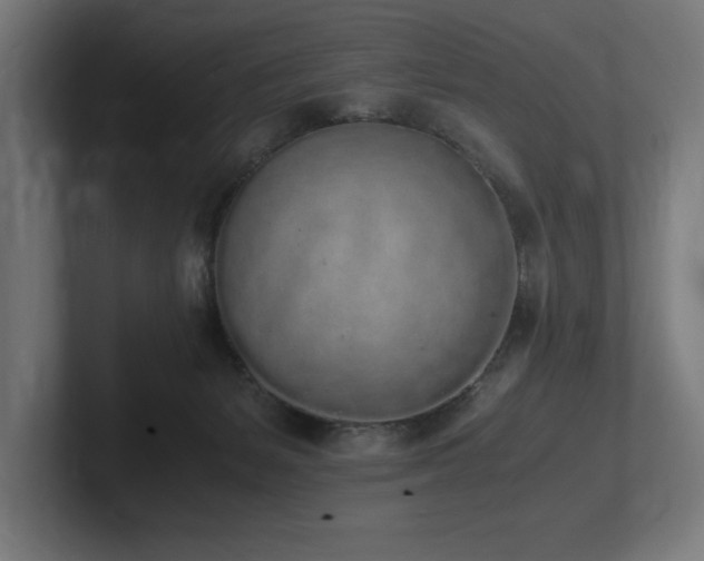 X0000102370127200808011521