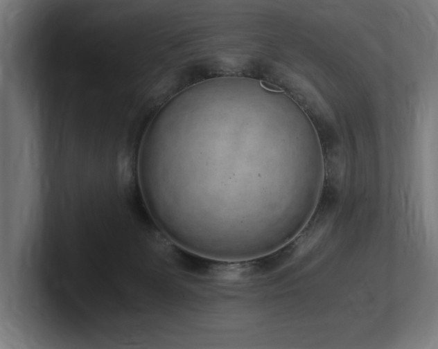X0000102370131200808011521