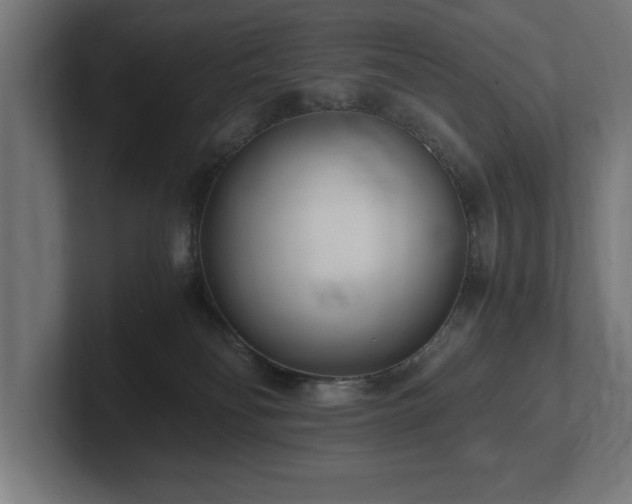 X0000102370134200808011521