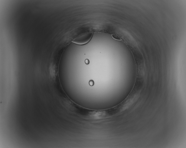 X0000102370135200808011521
