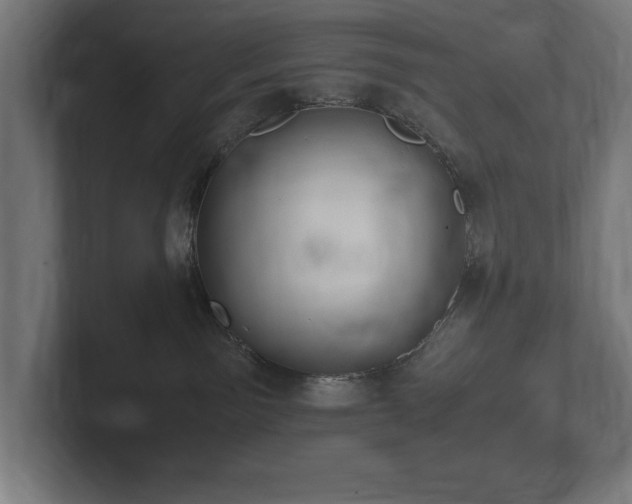 X0000102370141200808011521