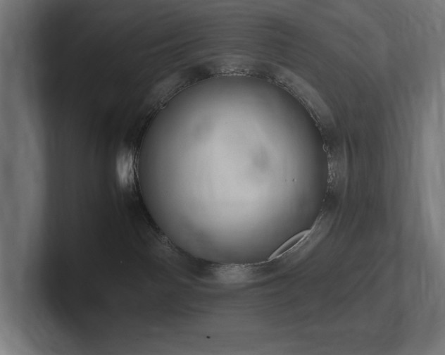X0000102370142200808011521