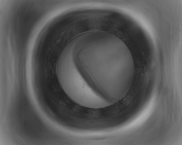 X0000102370143200808011521