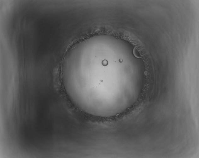 X0000102370144200808011521