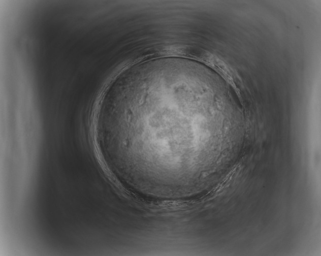 X0000102370145200808011520