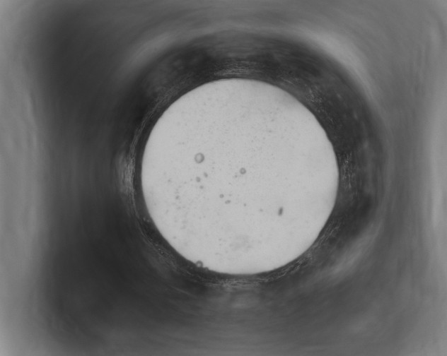 X0000102370146200808011520
