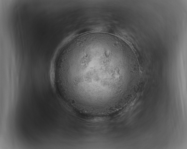 X0000102370149200808011520