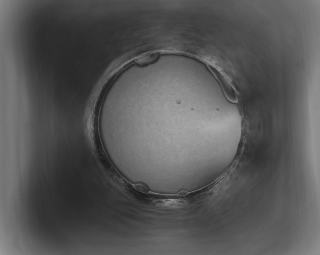 X0000102370151200808011520