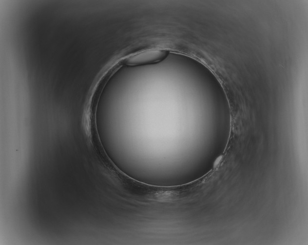 X0000102370152200808011520