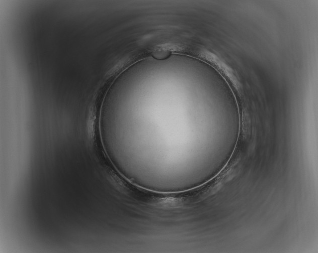 X0000102370153200808011520