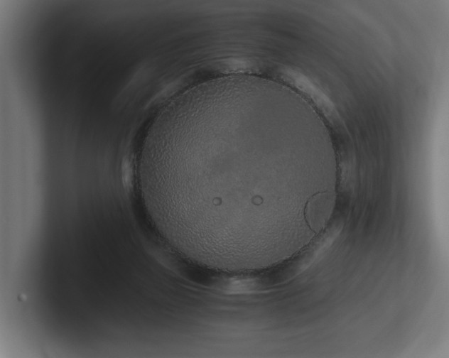 X0000102370165200808011520