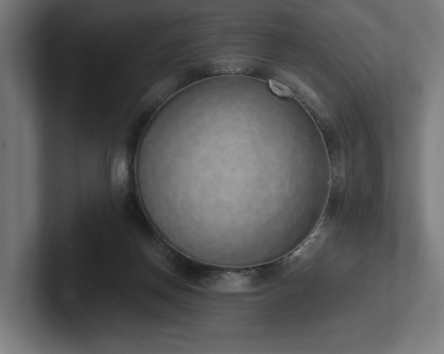 X0000102370166200808011520