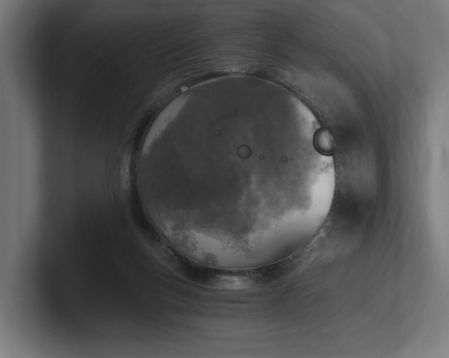 X0000102370167200808011520