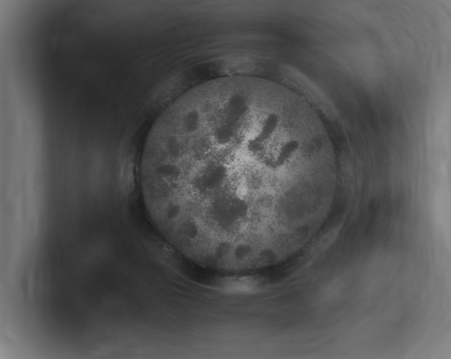 X0000102370169200808011520