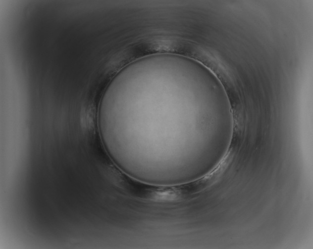 X0000102370175200808011520