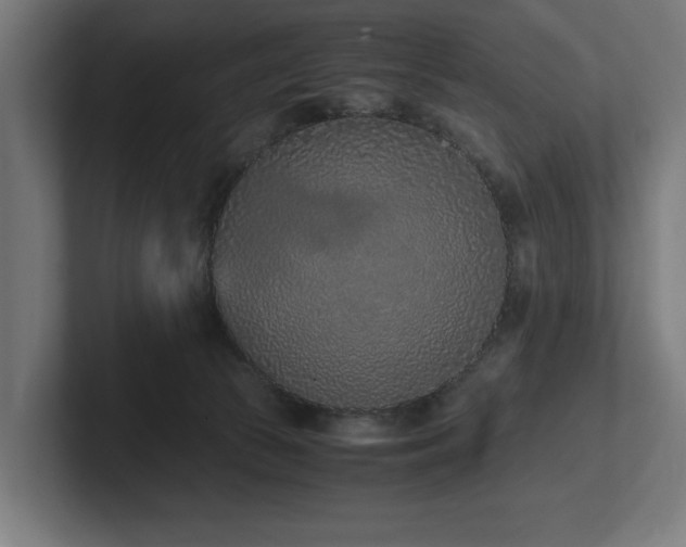 X0000102370177200808011521