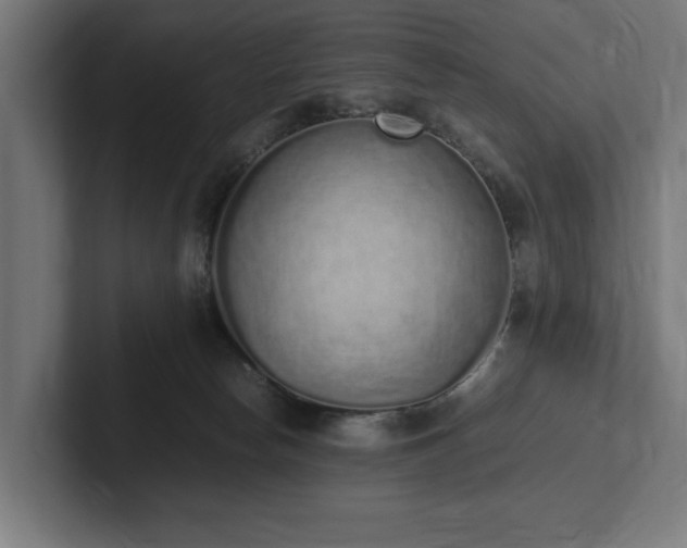 X0000102370178200808011521