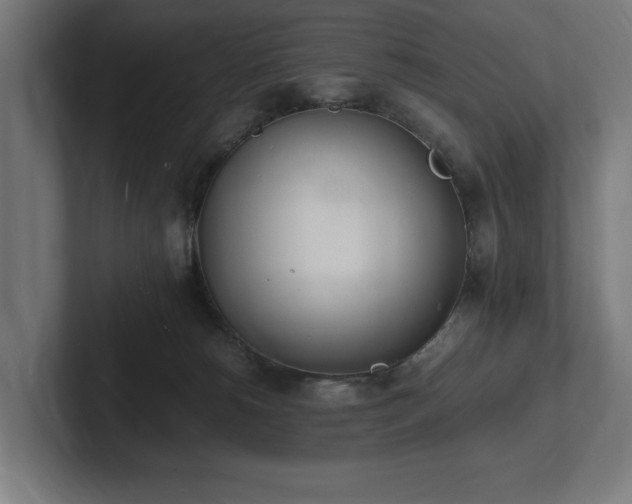 X0000102370180200808011521