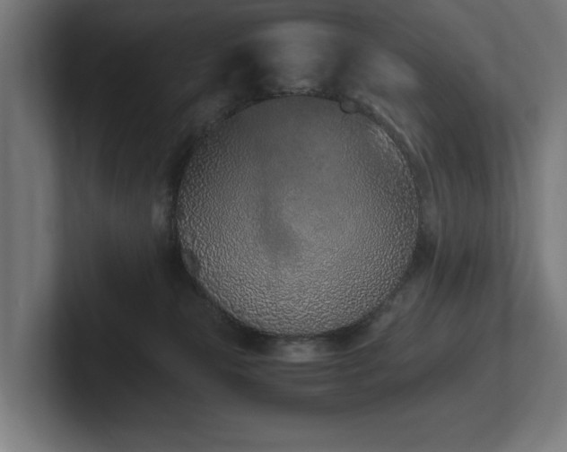 X0000102370181200808011521