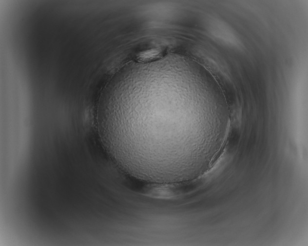 X0000102370182200808011521