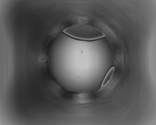 X0000102370184200808011521