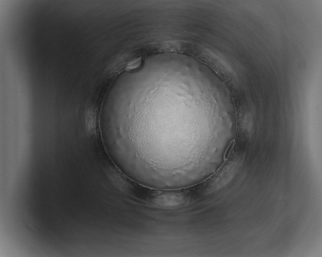 X0000102370185200808011521