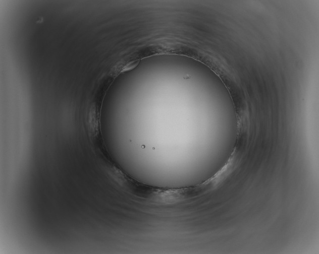 X0000102370186200808011521