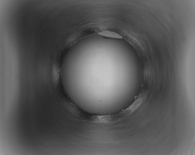 X0000102370188200808011521
