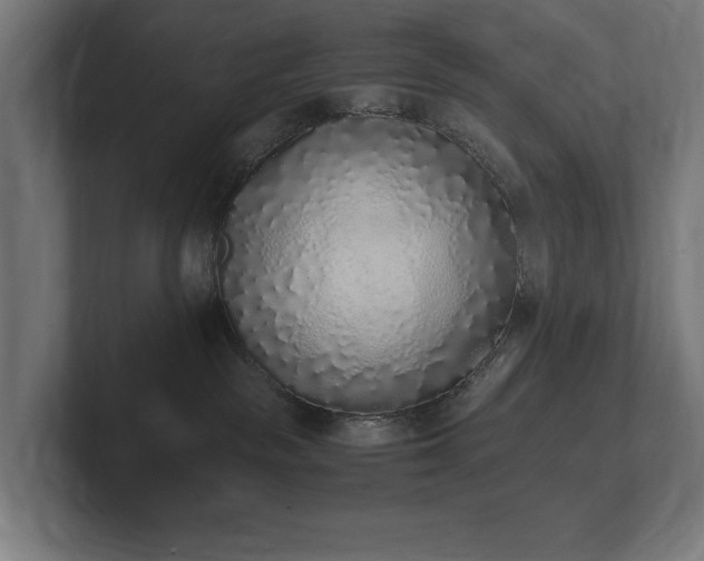 X0000102370189200808011521