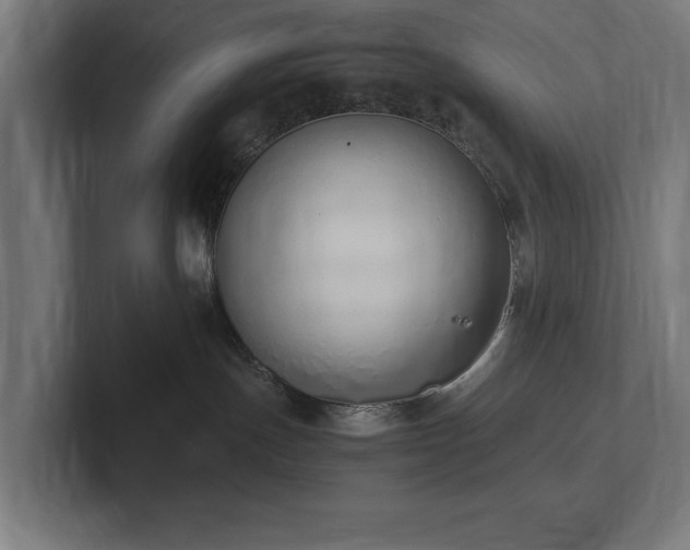 X0000102370191200808011521