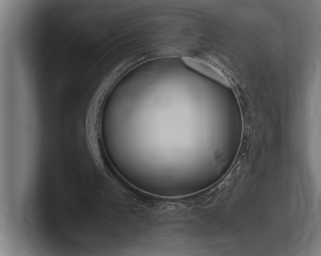 X0000102370193200808011520