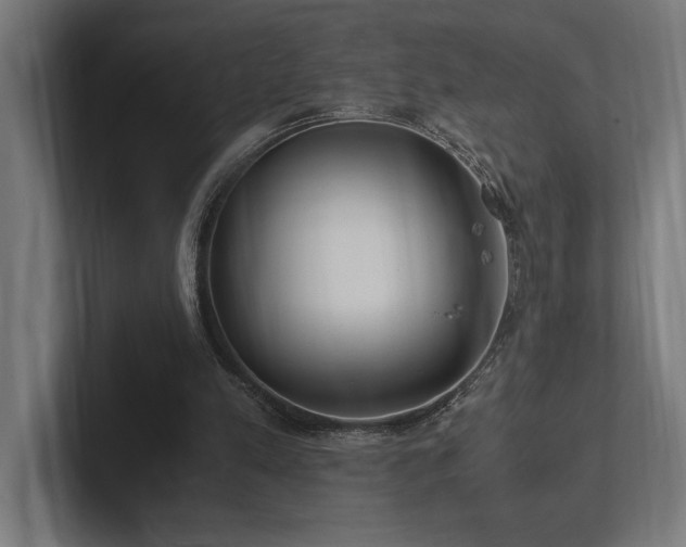 X0000102370197200808011520