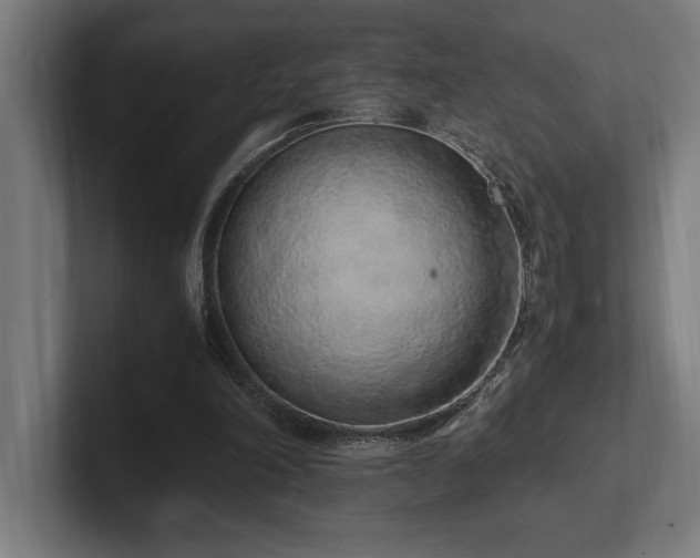 X0000102370198200808011520