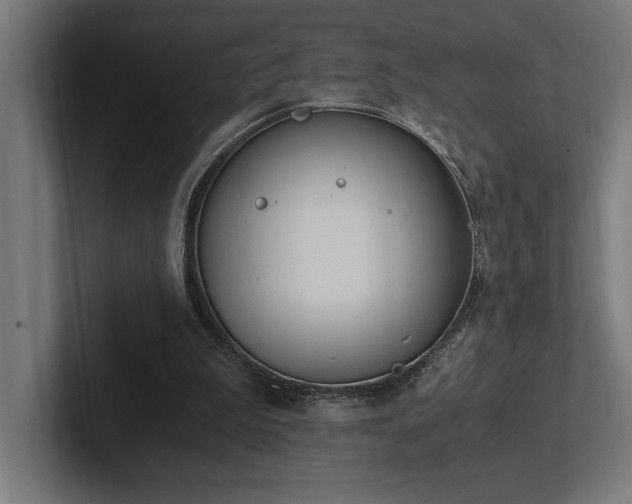 X0000102370199200808011520