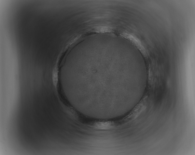 X0000102370202200808011520