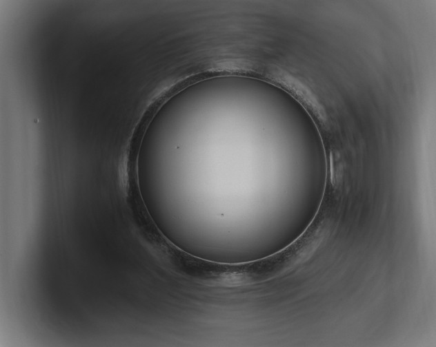 X0000102370204200808011520
