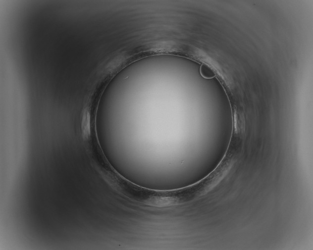X0000102370205200808011520