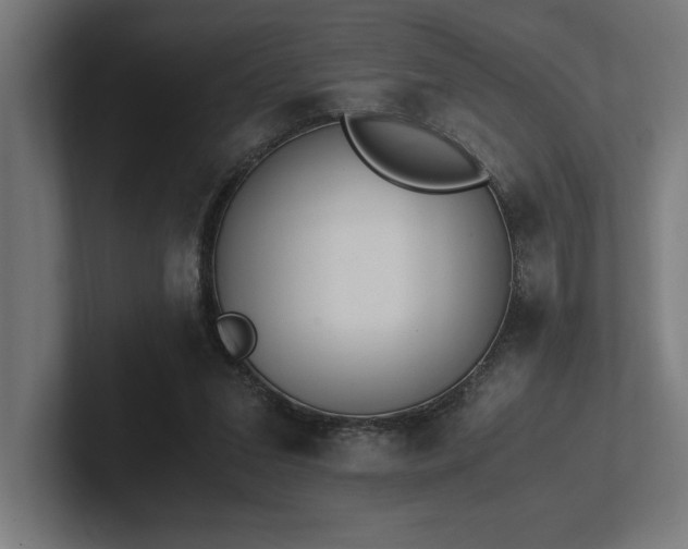 X0000102370207200808011520