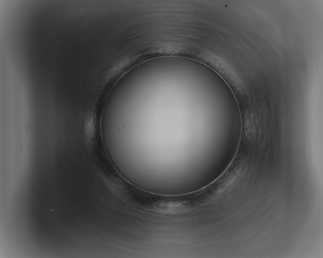 X0000102370208200808011520