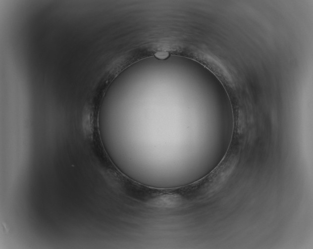 X0000102370210200808011520