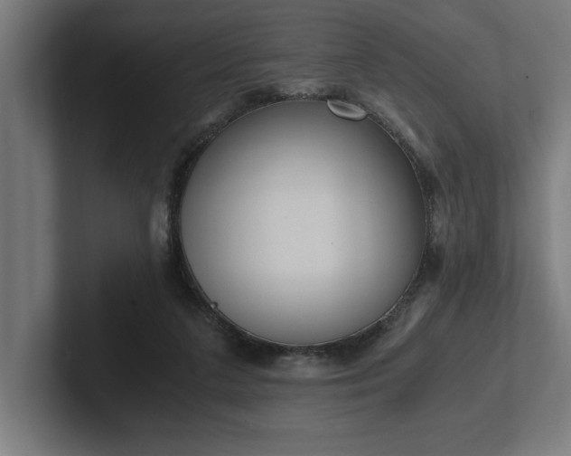 X0000102370211200808011520