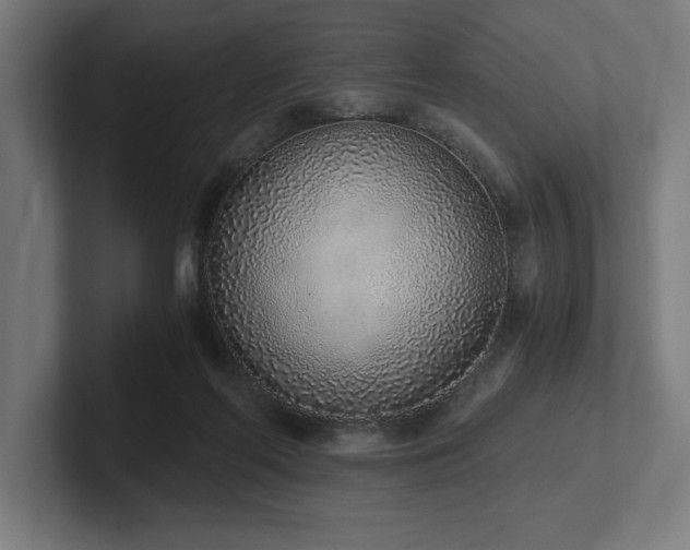 X0000102370214200808011520